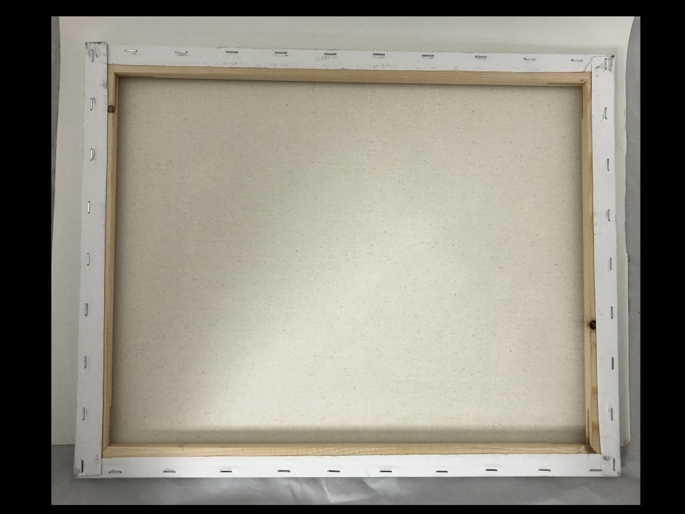 Bobby Fischer Rochester Lecture Photo Series